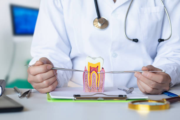 Best Emergency Dental Care for Broken or Chipped Teeth in Zilwaukee, MI